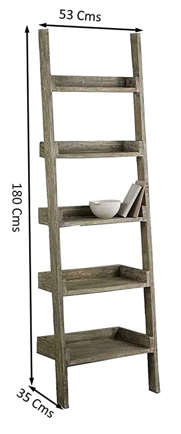 Dexter Ladder Bookshelf