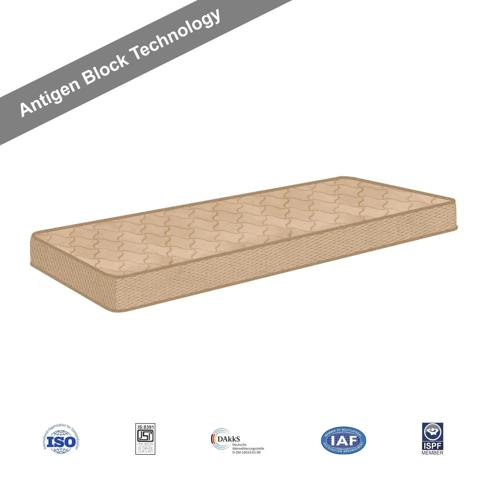 SLEEPSPA BY COIRFIT Orthopedic Comfort Mattress Single Size High Density(HR) Foam Pressure Relieving Brezza Coir Mattress | Back Pain Relief, Durable construction | Improves Sleep Experience - 78X36X4